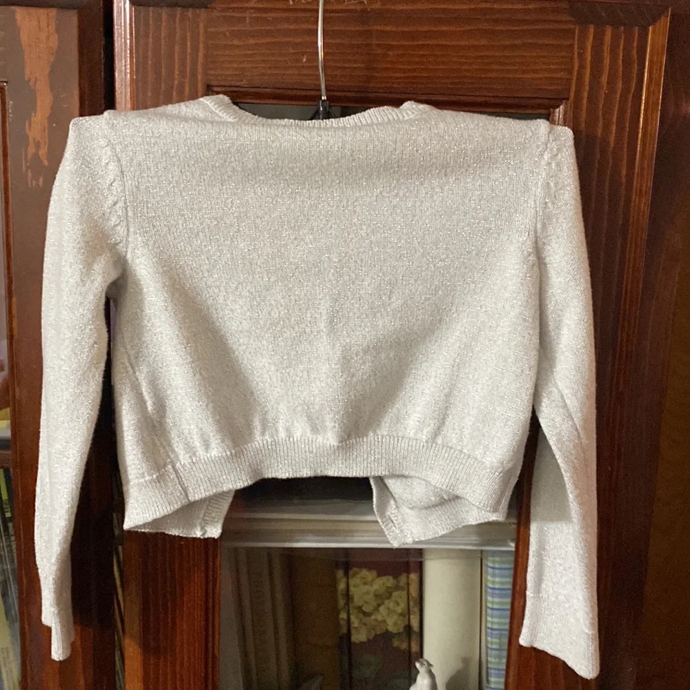The Children’s Place Toddler Silver Sweater Size 4
